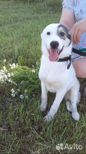 Не пройдите мимо