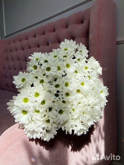 Букет из хризантем хризантема