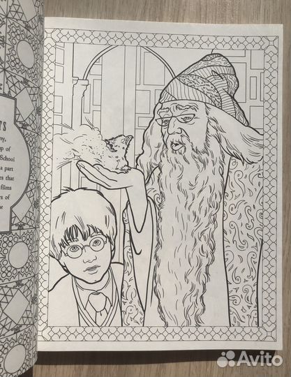 Раскраска антистресс Гарри Поттер