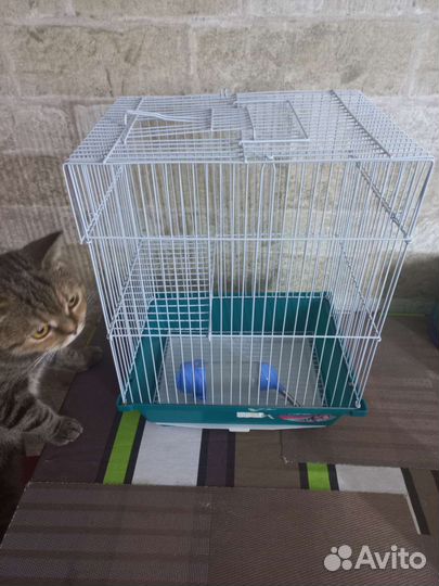 Клетка для грызунов бу