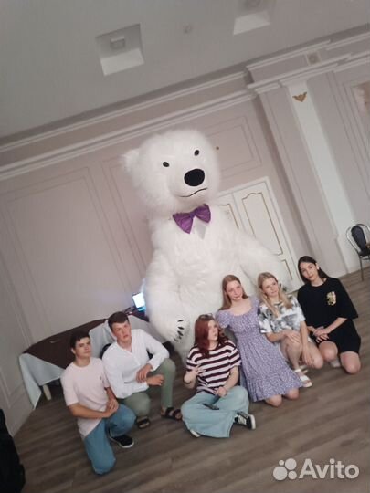 Белый Мишка