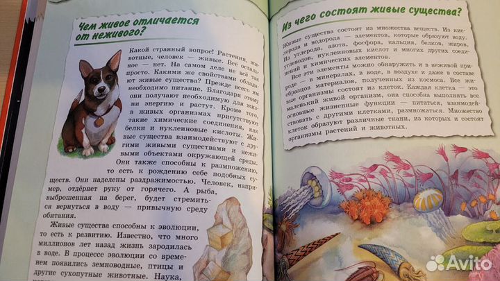 Детская книга 