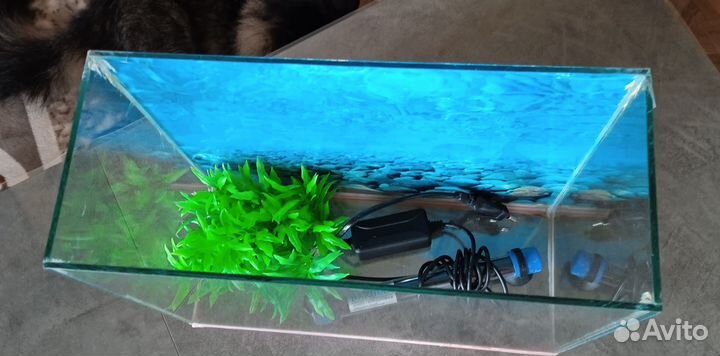 Аквариум 10 литров