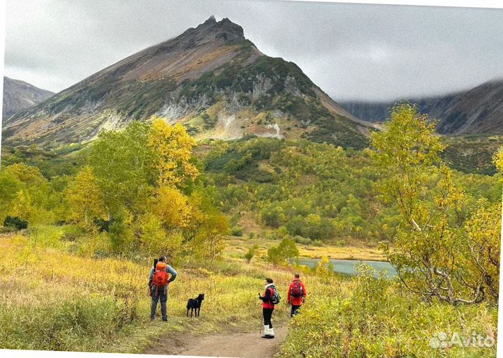 Камчатка летом тур экспедиция 7-9 дней