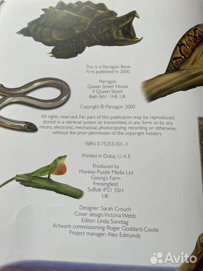 Энциклопедии для детей на Английском