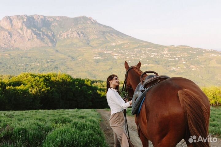 Конные прогулки. Экскурсии на лошадях