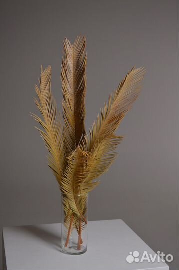 Сухоцветы, листья пальмы,пампасная трава,вейник