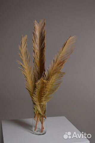 Сухоцветы, листья пальмы,пампасная трава,вейник