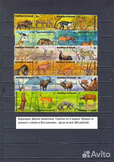 Флора и Фауна