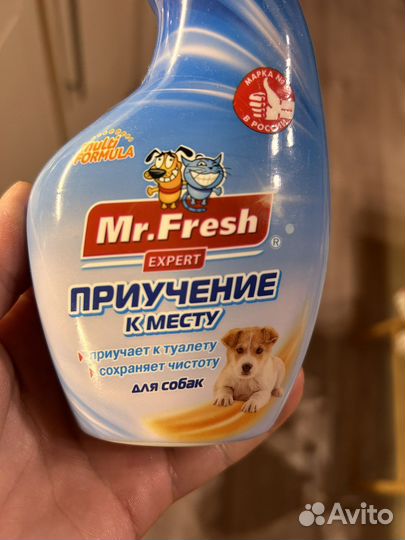 Приучение к лотку