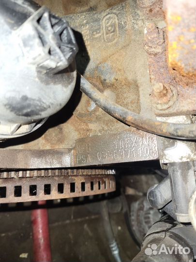 Citroen c4 ситроен с4