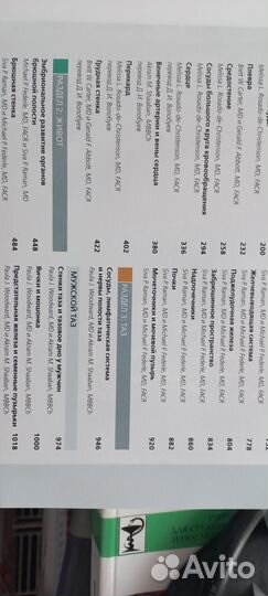 Лучевая анатомия, Грудь.Живот.Таз.Федерле