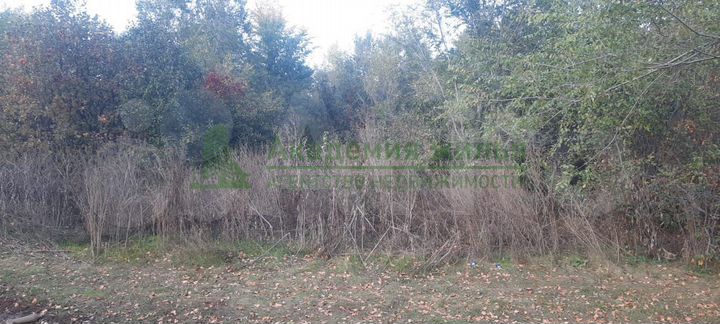 Участок 21 сот. (СНТ, ДНП)