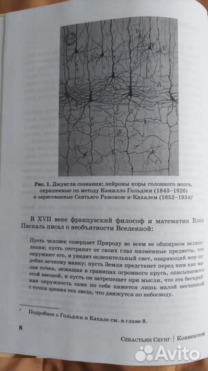 Книга Коннектом Как мозг делает нас тем, что мы ес
