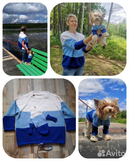 Family look для питомца и хозяина