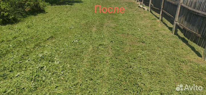 Покос травы