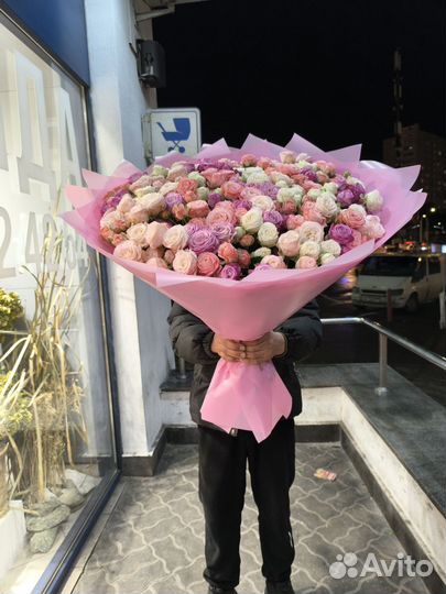 Куставой роза пионавидный