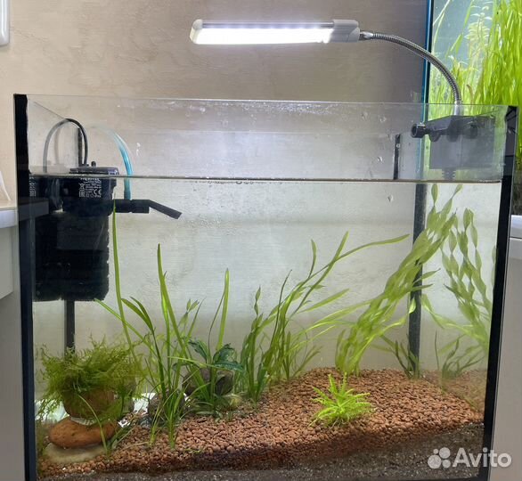 Готовый аквариум с рыбками
