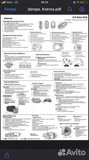 Шпаргалки ЕГЭ биология