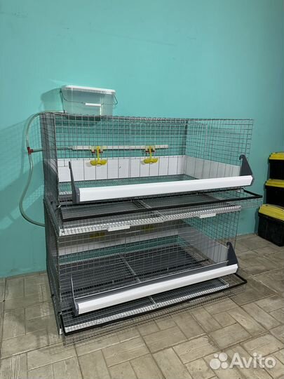 Клетки для кур несушек с яйцесборником