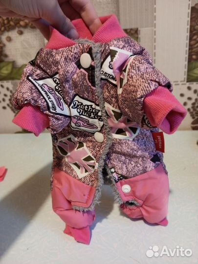 Комбинезон на собачку