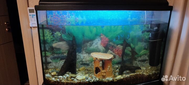 Аквариум с тумбой 100л