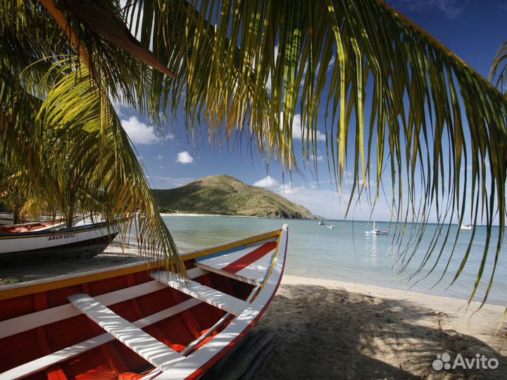 Вип-тур в Venezuely на 12 дн