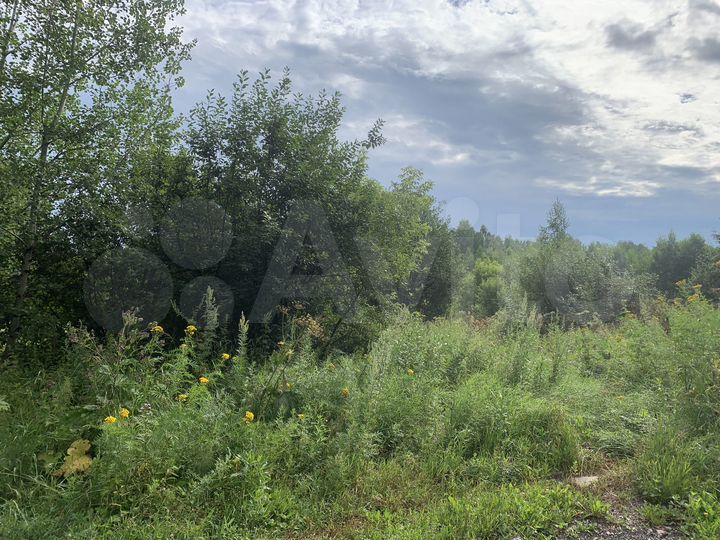 Участок 20 сот. (СНТ, ДНП)