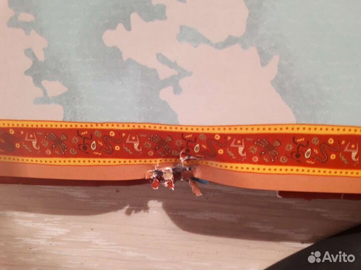 Атлас животных и растений мира