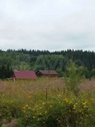 Участок 24 сот. (СНТ, ДНП)