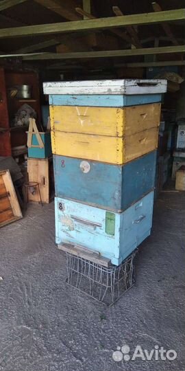 Улей Дадана