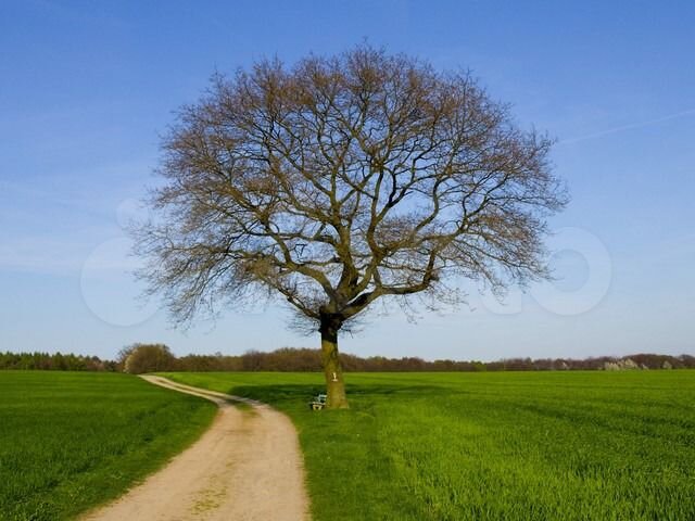 Участок 12 сот. (ИЖС)