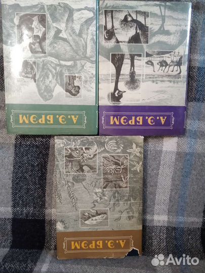 Брэм А.Ф. Жизнь животных в 3-х томах