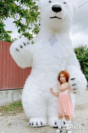 Белый Медведь Панорамычь поздравление Аниматор