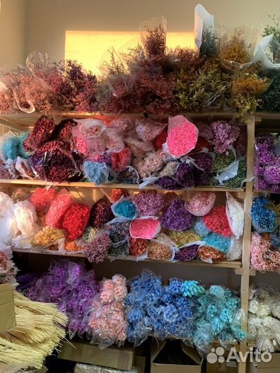 Стабилизированные цветы и сухоцветы