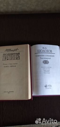 Поднятая целина