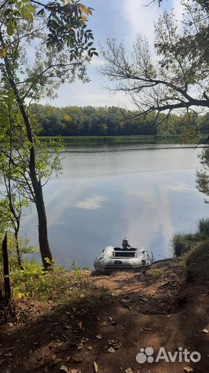 Лодка пвх Пилигрим 310 с мотором Микатцу