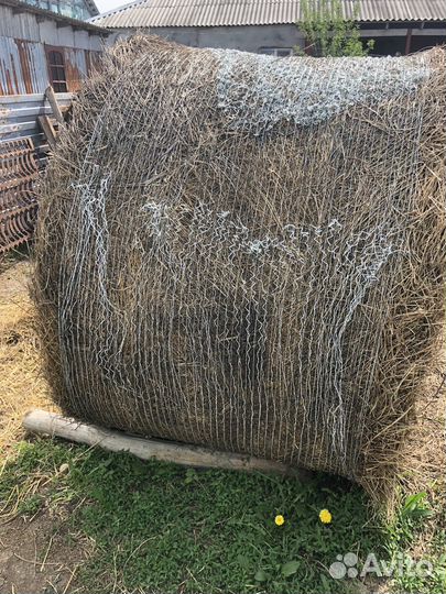 Сено люцерны в рулонах