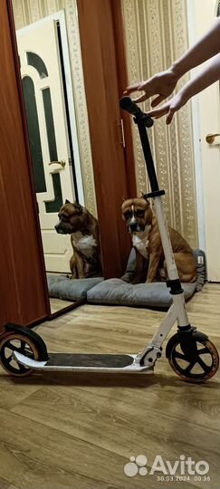 Самокат взрослый бу