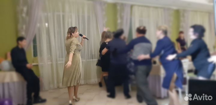 Заводные ведущие