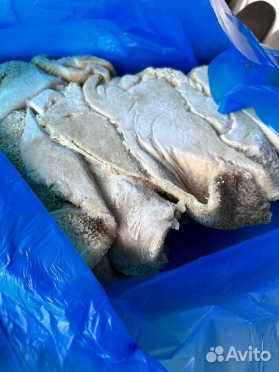 Рубец говяжий очищенный