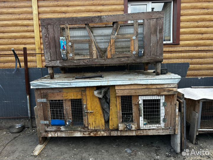 Клетки для кроликов