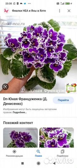 Фиалки
