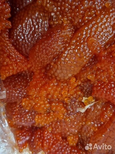 Икра форели в ястыках