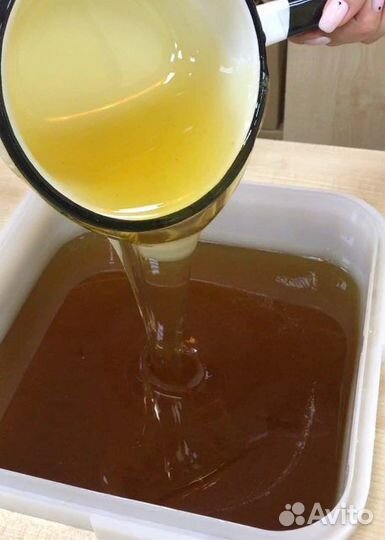 Оптом мед Алтайское разнотравье