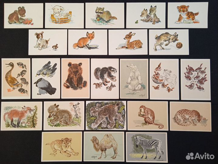 Старые открытки СССР / Мир животных