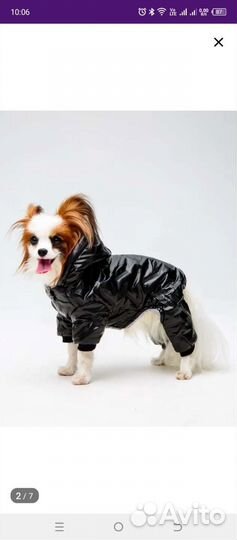 Комбенизон для собачки