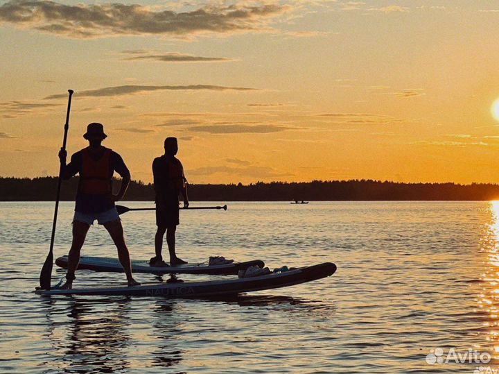 Аренда сап бордов