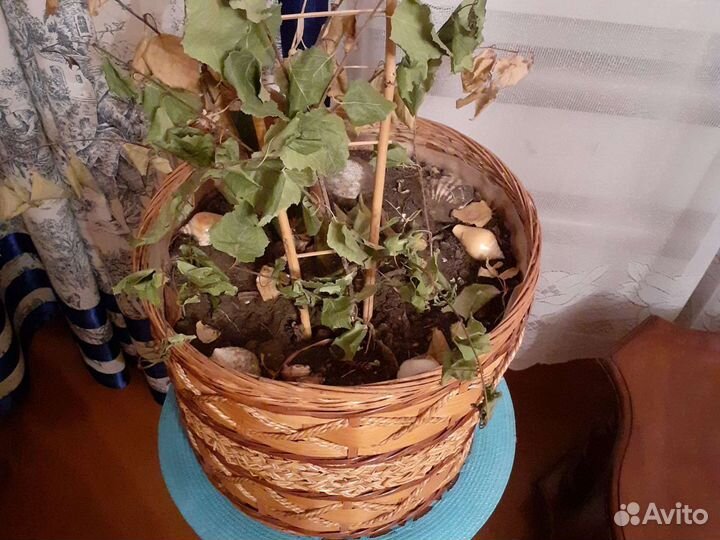 Горшок для цветов 3 штуки