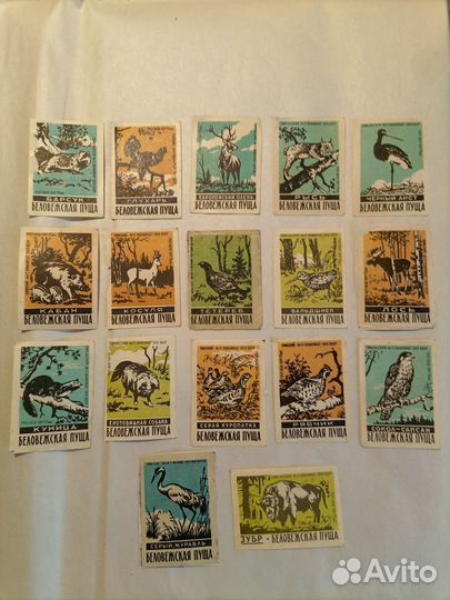 Спичечные этикетки СССР. Беловежская пуща